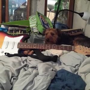 Meet your Posher, Joe